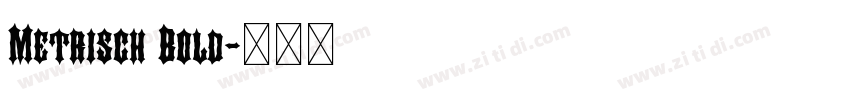 Metrisch Bold字体转换